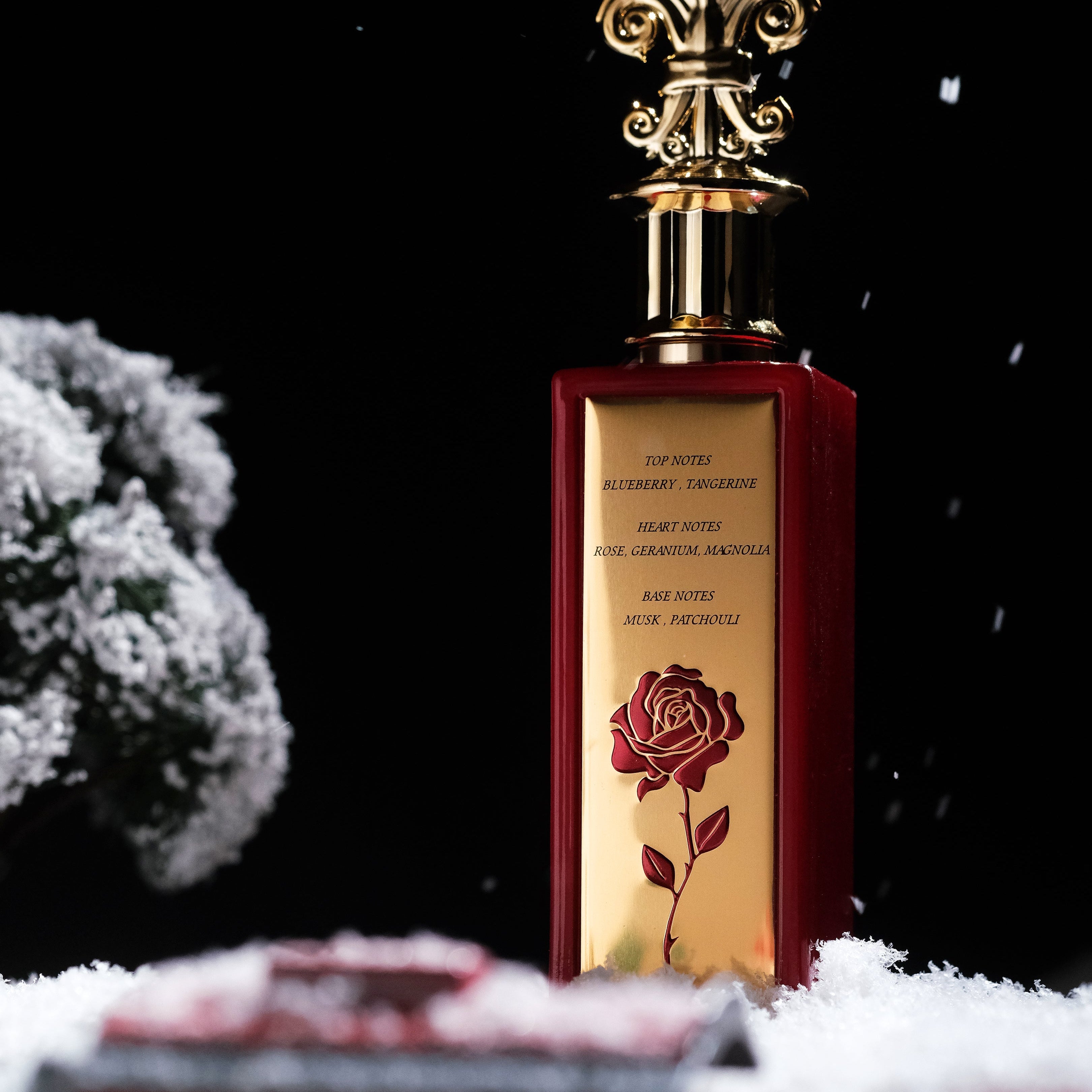 DECEMBER ROSE